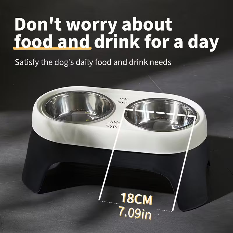 Modern Raised Pet Feeder with Dual Bowls